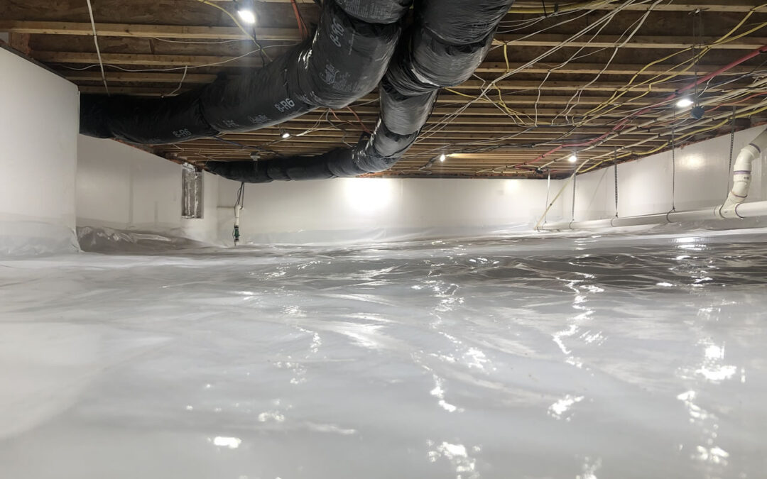 Crawl Space Beauty
