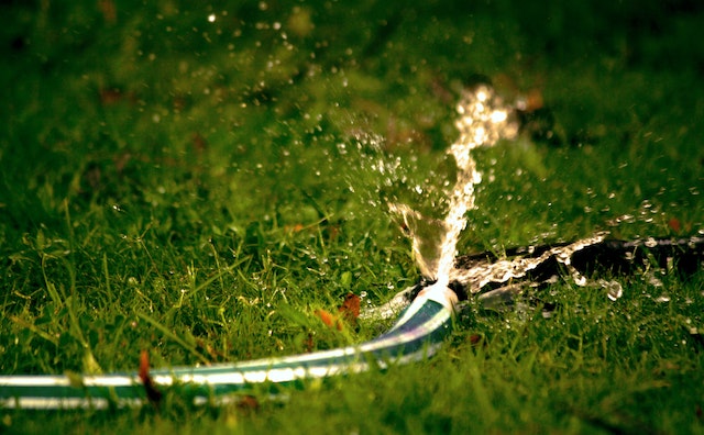 How’s Your Hose?