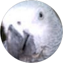 Barbara O'Brien profile picture